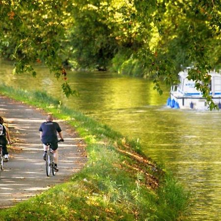 Les Toits De Toulouse - T3 & Garage Lägenhet Exteriör bild